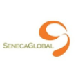 SenecaGlobal IT Services Pvt. Ltd.