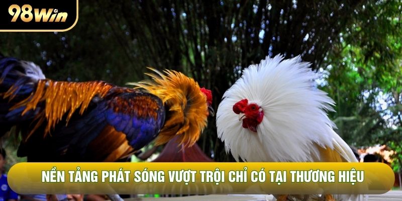 Nền tảng phát sóng vượt trội chỉ có tại thương hiệu Nền tảng phát sóng vượt trội chỉ có tại thương hiệu