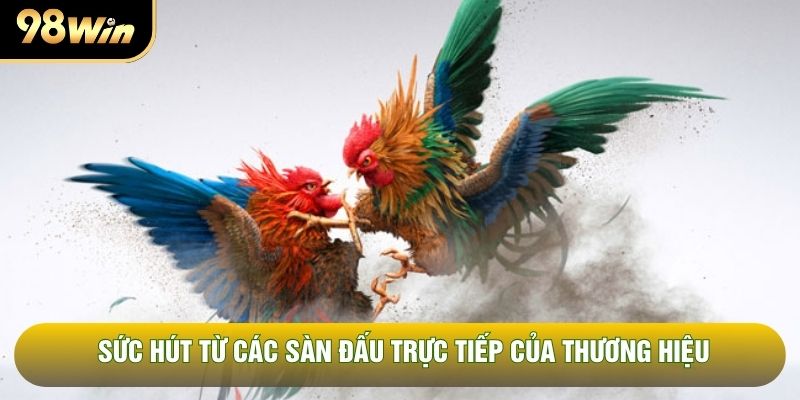 Sức hút từ các sàn đấu trực tiếp của thương hiệu Sức hút từ các sàn đấu trực tiếp của thương hiệu