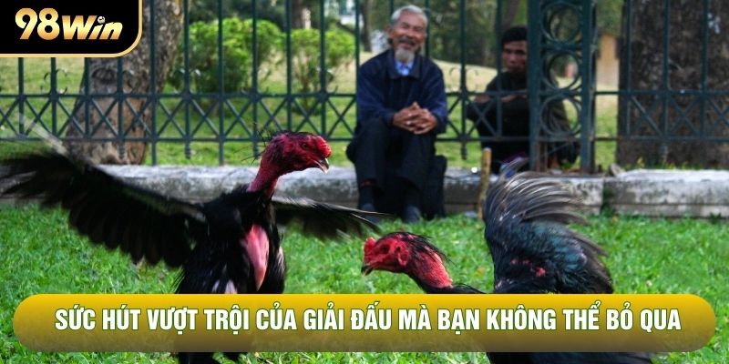 Sức hút vượt trội của giải đấu mà bạn không thể bỏ qua Sức hút vượt trội của giải đấu mà bạn không thể bỏ qua