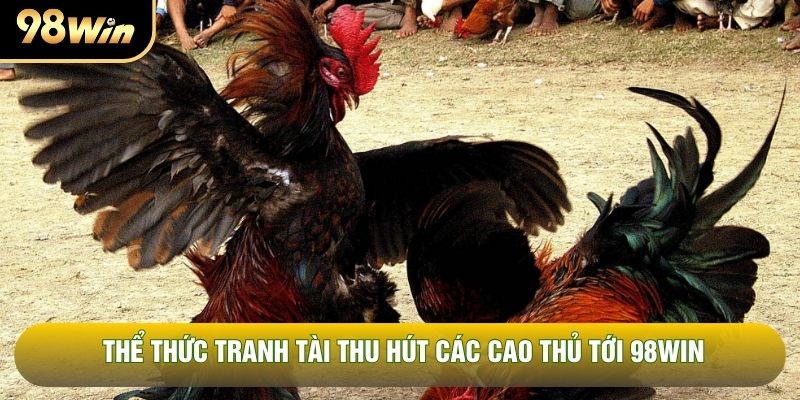 Thể thức tranh tài thu hút các cao thủ tới 98WIN Thể thức tranh tài thu hút các cao thủ tới 98WIN